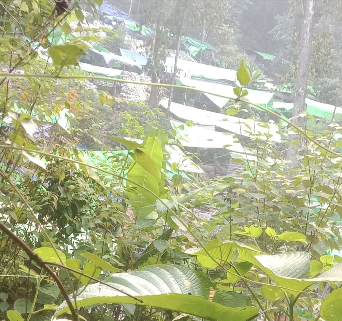Aktivitas PETI di Bukit Ketam, APH Kemana?