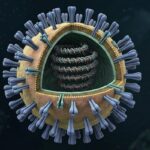 Beda Influenza A dan Flu Biasa, Kenali Gejala dan Cara Membedakannya