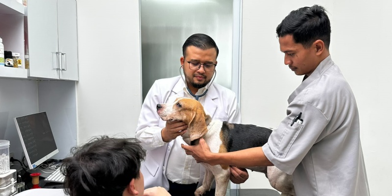 Mirjawal Dorong Penguatan Sistem dan Kolaborasi untuk Kendalikan Rabies