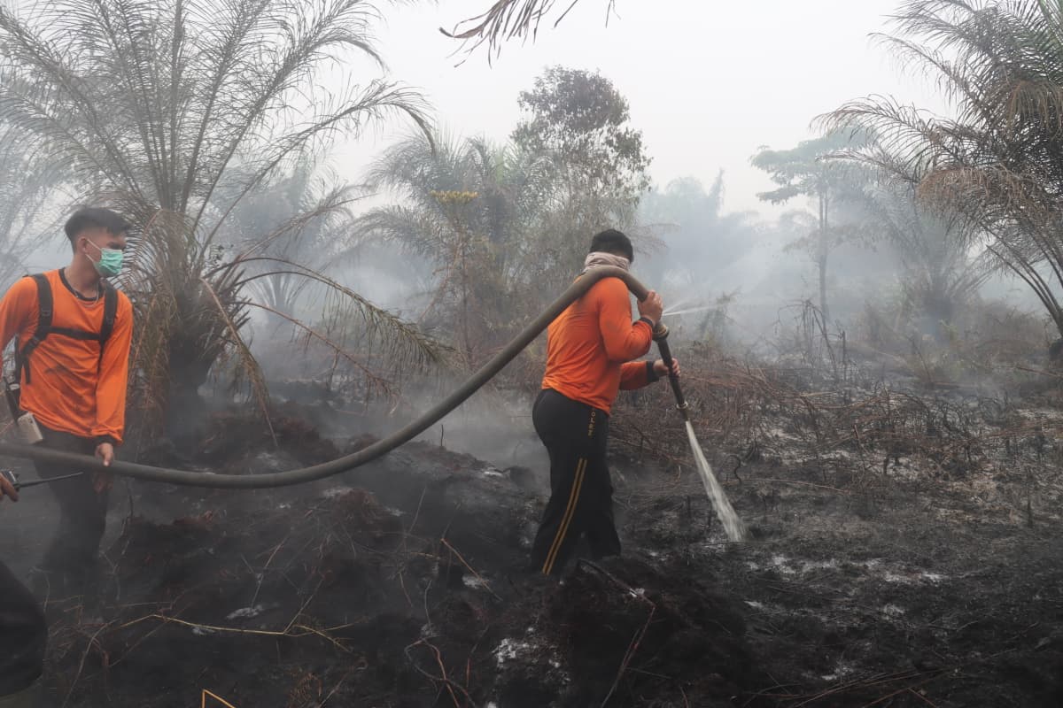Tak Sekadar Padamkan Api, “X-Fire” Polda Kalbar Redam Bara dan Asap Karhutla