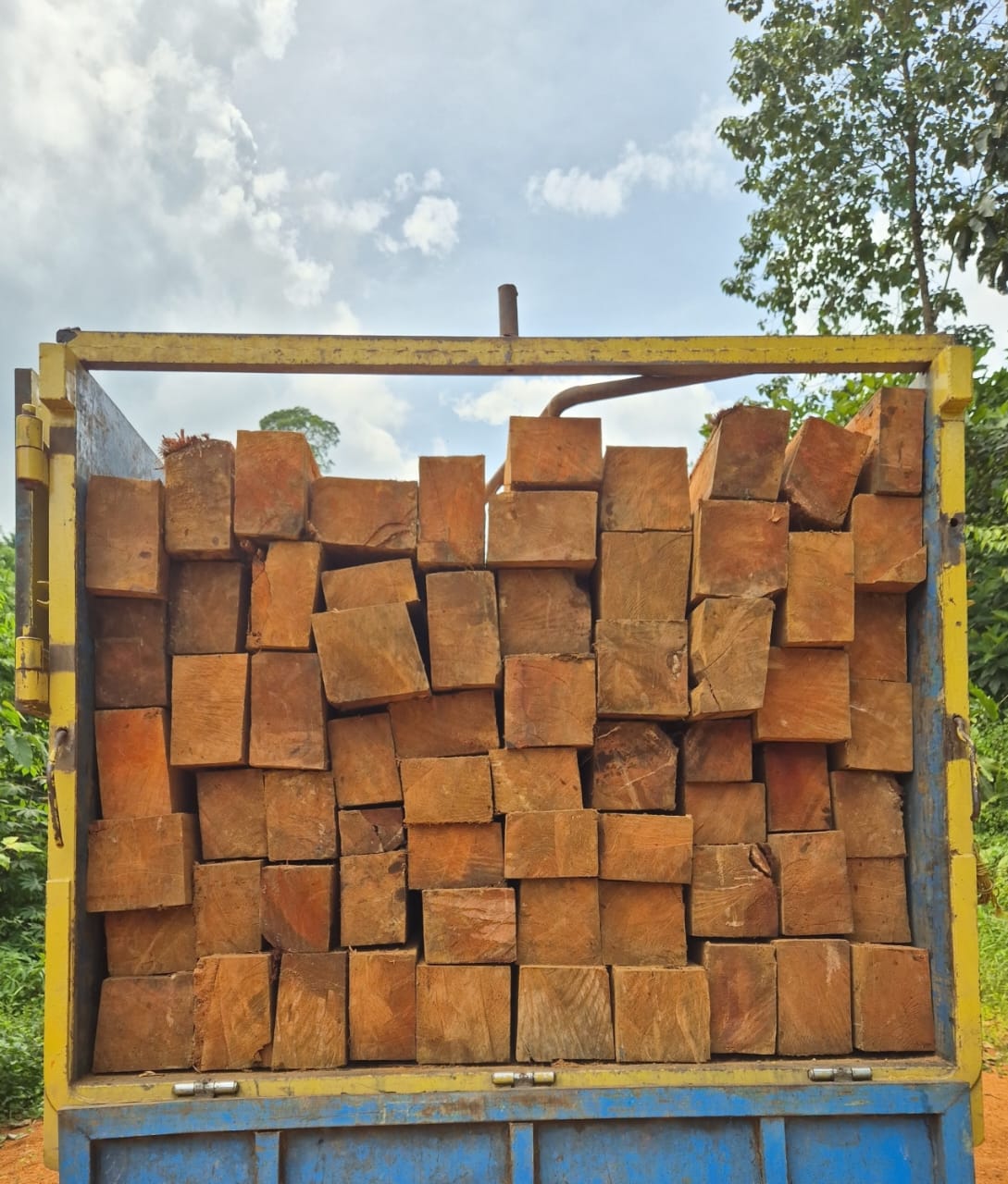 Diduga Illegal Logging Merajalela di Desa Sebadak Raya Ketapang, APH Diminta Bertindak