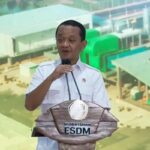 Jangan Hanya Urus Perusahaan Besar!