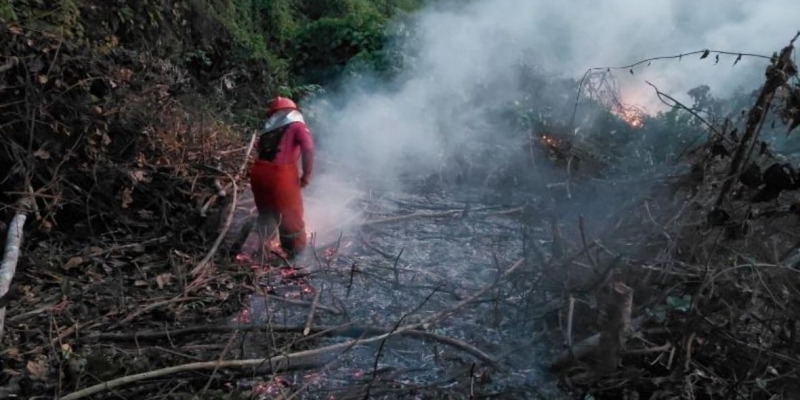 Apkarindo Ajak Petani Karet Jaga Hutan dari Ancaman Karhutla