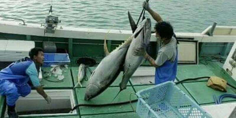 Nestapa Awak Kapal Perikanan di Tengah Ekonomi Biru