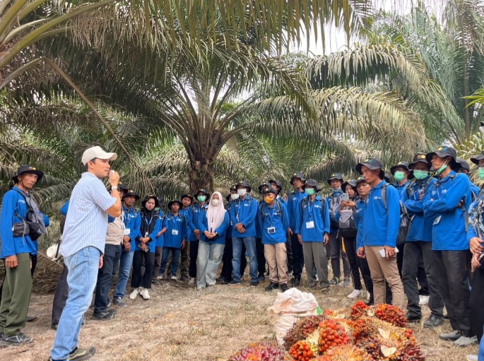 Holding Perkebunan Nusantara melalui PalmCo Perkuat Kompetensi 211 Petani Sawit Jambi